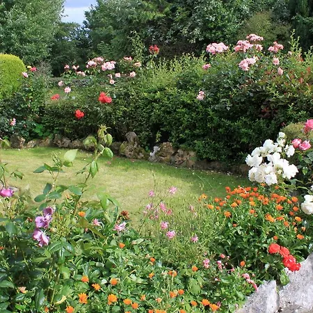 Bed and breakfast Bohola House Galway